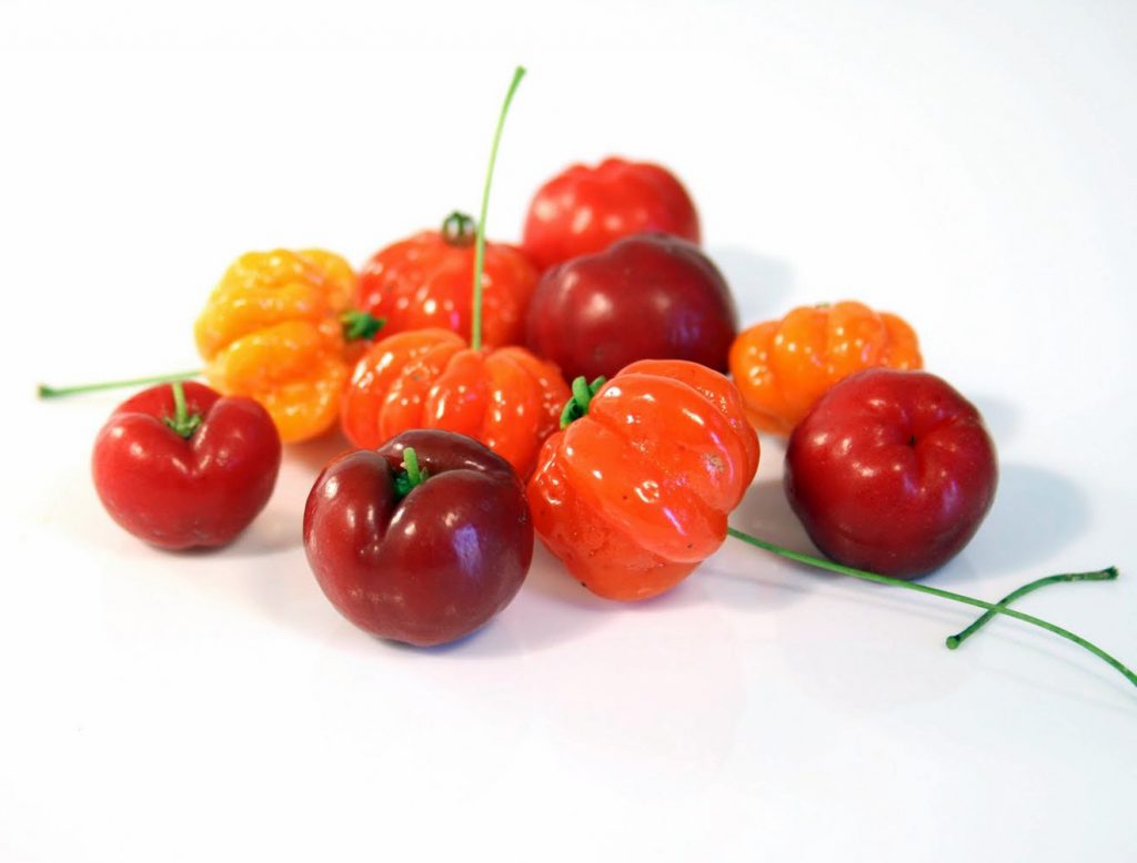 L’acérola bio, une « cerise » pleine de vitamines