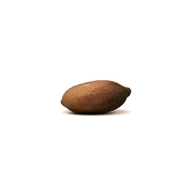 Fruit entier de Baobab